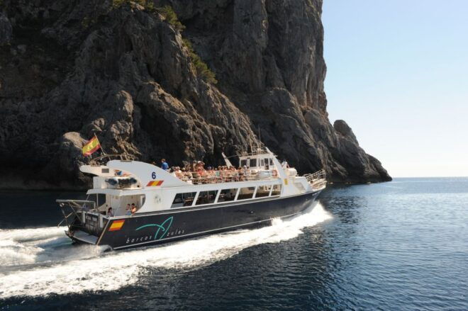 Sóller: Boat Trip to Sa Calobra and Torrent De Pareis - Selecting Participants and Date
