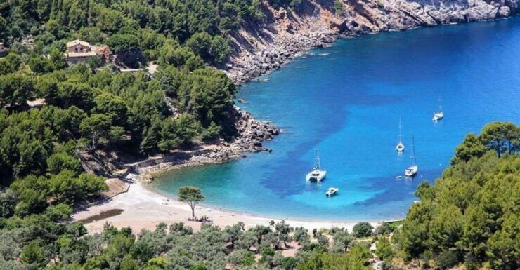 Sóller: Cala Tuent Roundtrip Cruise With Free Time - Activity Description
