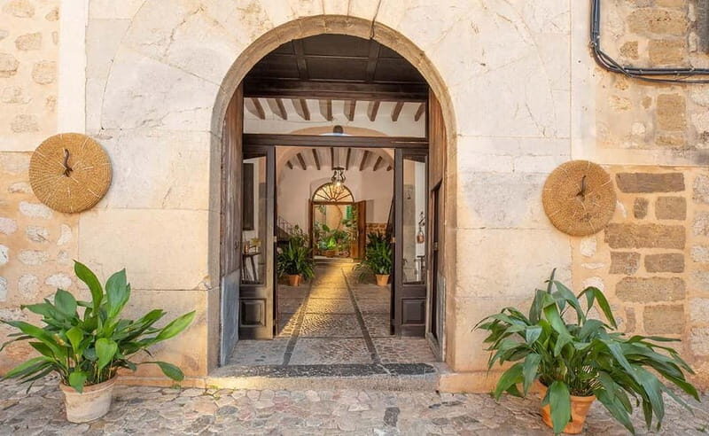 Sóller: Olive Oil Guided Tour and Tasting at Can Det Estate - Sóller: Olive Oil Guided Tour and Tasting at Can Det Estate