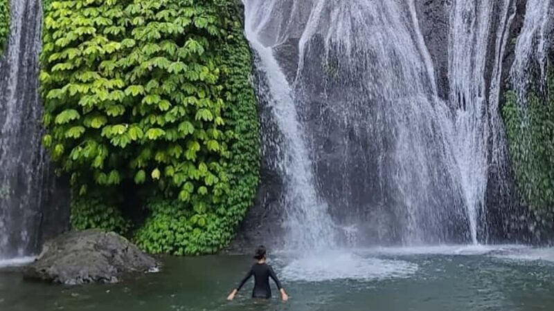 Solo travelers North Bali temple & waterfall in luxury van - FAQ: Your Practical Questions Answered