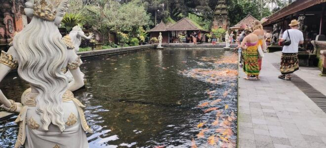 Solo Traveling Ubud Tour Bike Tour WITH Friendly Guide - Itinerary Overview