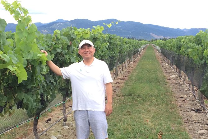 SOLO TRAVELLER: Full Day Wine Gourmet and Scenic Delights From Picton - Pick-up and Drop-off