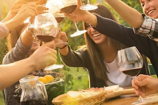 Solvang Ventura Wine Tour by Car - Who Will Love This Tour?