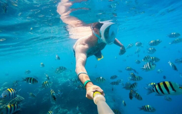 Soma Bay: Magawish Island & Snorkeling Tour W Buffet Lunch - Tour Overview