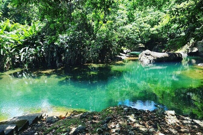 Soma Garden All Inclusive Tropical Fruit Farm Tour - Good To Know