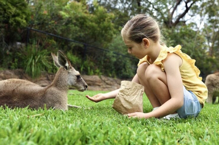 Somersby: Australian Reptile Park Day Pass - 9am to 5pm - Ticket Details