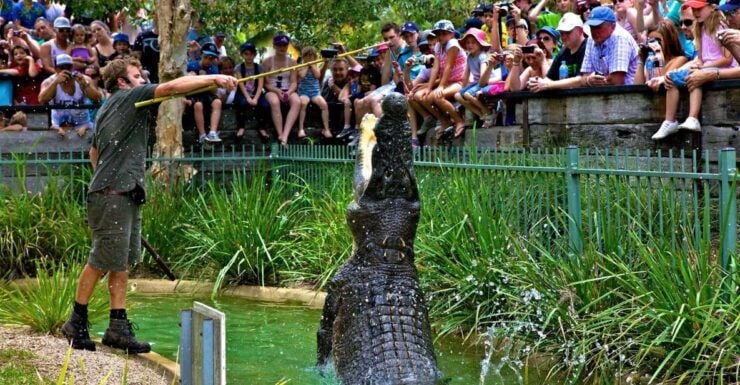 Somersby: Australian Reptile Park Day Pass - 9am to 5pm - Experience at Australian Reptile Park