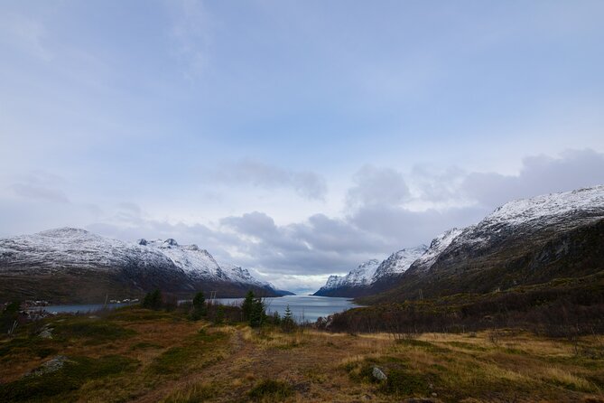 Sommarøy Arctic Day Trip - Overview and Itinerary