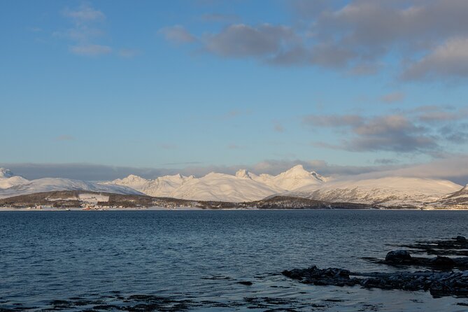 Sommarøy Arctic Day Trip - Spot Wildlife