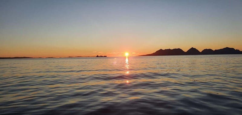 Sommarøy: Midnight Tour by minibus - Good To Know