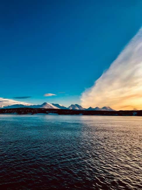 Sommarøy: Midnight Tour by minibus - Final Words