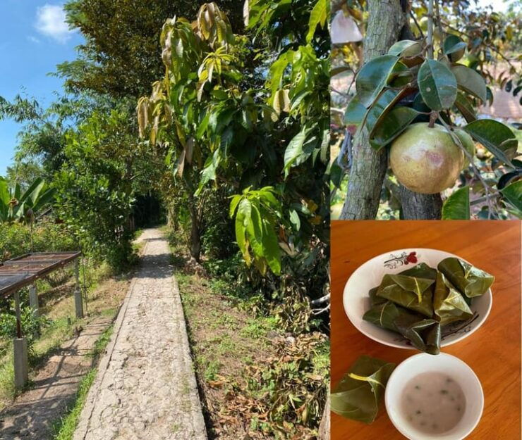 SON ISLET TRIP EXPLORE THE BOLD LAND OF THE SOUTH REGION - Activities and Highlights
