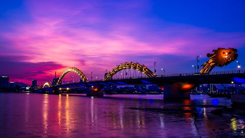 Son Tra Peninsula Sunset & Han River Night Cruise - Who is likely to enjoy this outing?