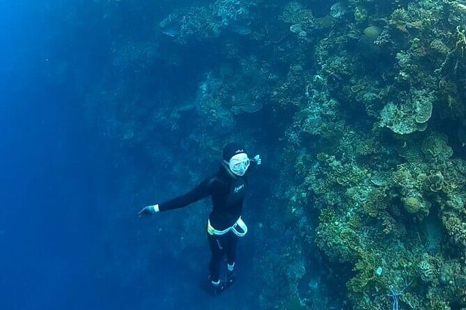 Son Tra Snorkeling Adventure with traditional boat - Good To Know