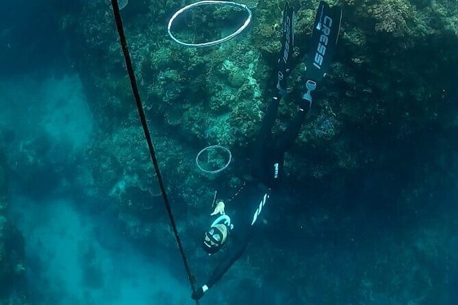 Son Tra Snorkeling Adventure with traditional boat - Practicalities and What to Expect