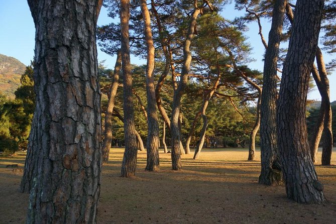 Songnisan National Park & Beopjusa Temple UNESCO Site Private Tour - Pricing and Reservation/Cancellation