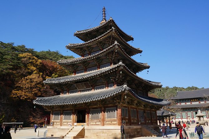 Songnisan National Park & Beopjusa Temple UNESCO Site Private Tour - Lowest Price Guarantee