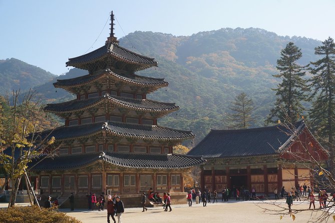 Songnisan National Park & Beopjusa Temple UNESCO Site Private Tour - Additional Information