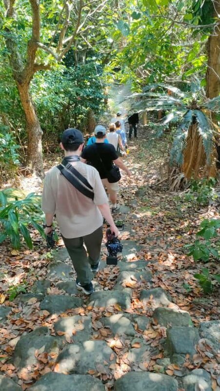 Songs Beneath the Stars on Okinawas 65-Person Hidden Island - Who Would Love This Tour?