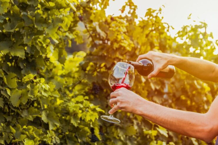 Sonoma County: Tasting Pass (Choose 1, 2, or 90 Days) - Participating Venues and Locations