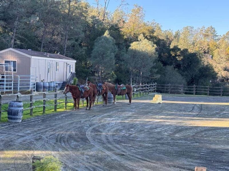 Sonoma County: Wine Country Horseback Riding Adventure - Good To Know