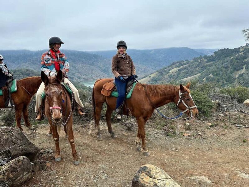 Sonoma County: Wine Country Horseback Riding Adventure - An In-Depth Review of the Sonoma County Horseback Riding Experience