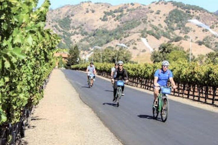 Sonoma County: Wine Tasting and Biking in Healdsburg - Experience Highlights