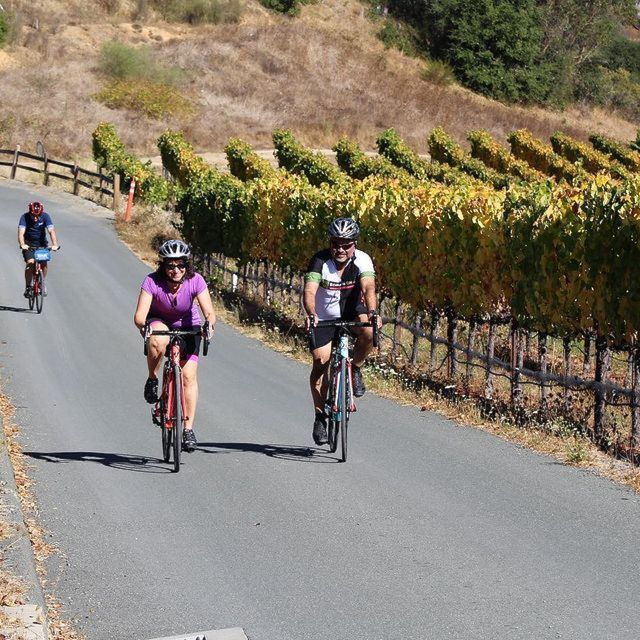 Sonoma County: Wine Tasting and Biking in Healdsburg - Directions to Healdsburg