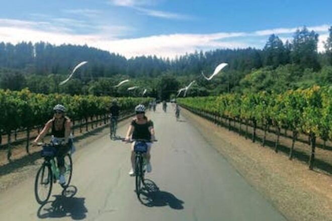 Sonoma County: Wine Tasting and Biking in Healdsburg - Common Questions