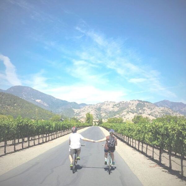 Sonoma County: Wine Tasting and Biking in Healdsburg - The Sum Up