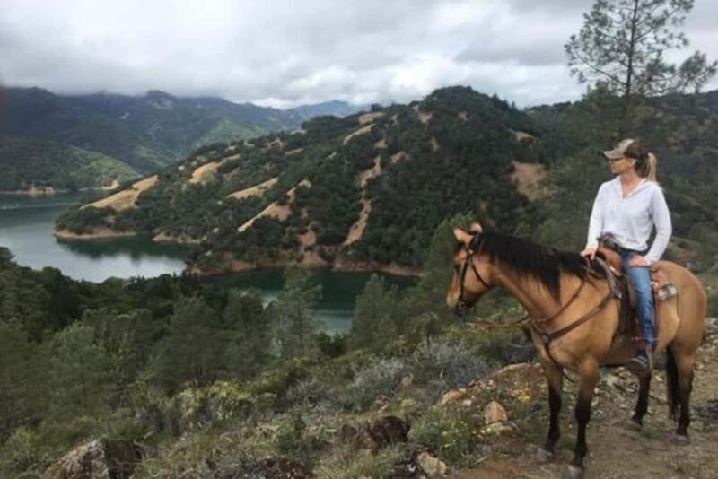 Sonoma: Horseback Riding Tour to Skaggs Vista Mountain - Who Should Consider This Tour?