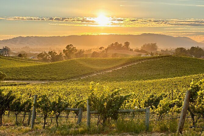 Sonoma Private 6-Hour Wine Adventure - The Sum Up