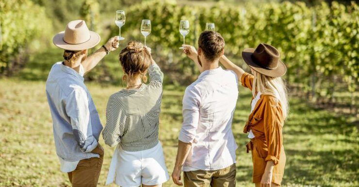 Sonoma Valley: Guided Winery Tour With Picnic Lunch - Activity Details