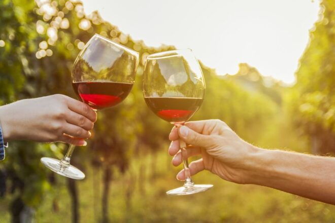 Sonoma Valley: Guided Winery Tour With Picnic Lunch - Additional Recommendations