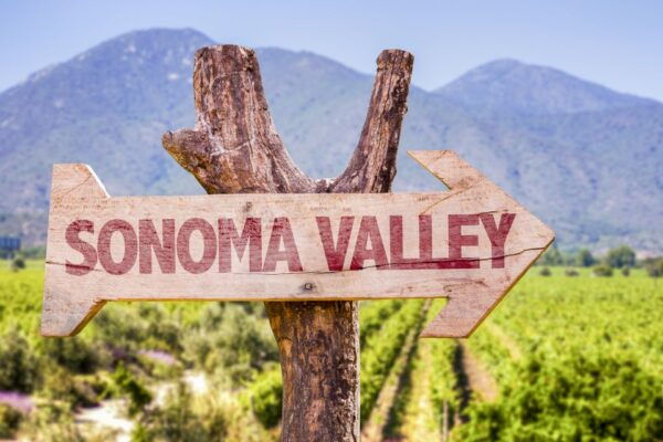 Sonoma Valley: Guided Winery Tour With Picnic Lunch - Common Questions