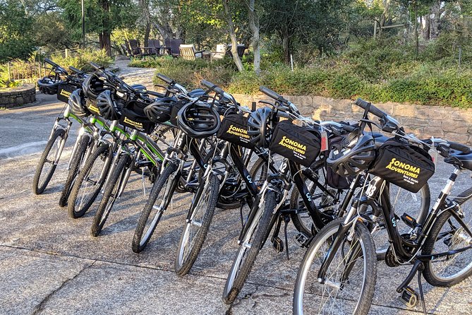 Sonoma Valley Pedal Assist Bike or Regular Bike Tour - Winery Visits