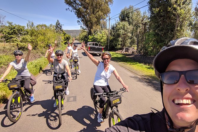 Sonoma Valley Pedal Assist Bike or Regular Bike Tour - Reviews and Ratings