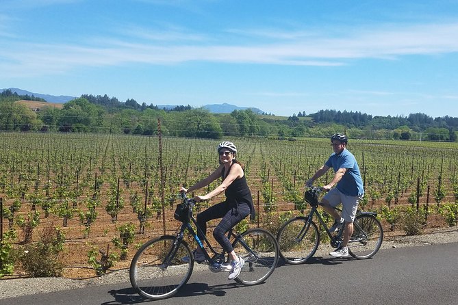 Sonoma Valley Pedal Assist or Standard Bike Tour With Lunch - Tour Details