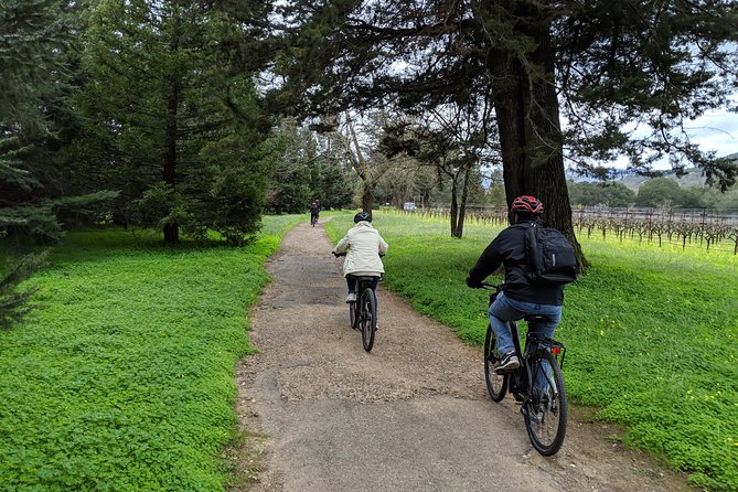 Sonoma Valley Pedal Assist or Standard Bike Tour With Lunch - Common Questions