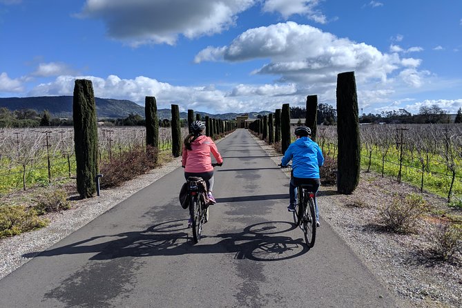 Sonoma Valley Pedal Assist or Standard Bike Tour With Lunch - The Sum Up