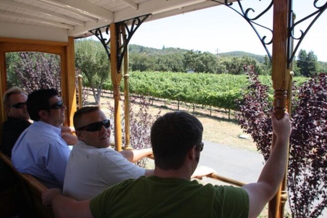 Sonoma Valley: Wine Trolley Tasting Tour With Lunch - Scenic Views and Photo Opportunities
