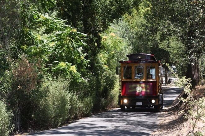 Sonoma Valley: Wine Trolley Tasting Tour With Lunch - Common Questions