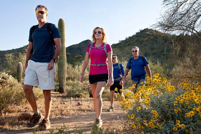 Sonoran Desert Guided Hike - Good To Know