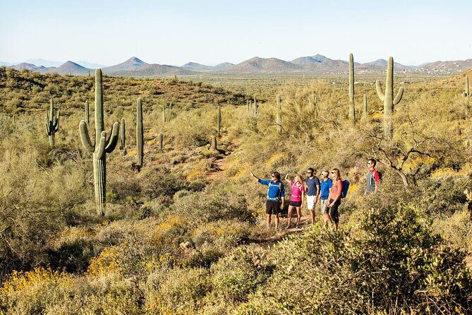 Sonoran Desert Guided Hike - A Detailed Look at the Sonoran Desert Guided Hike Experience