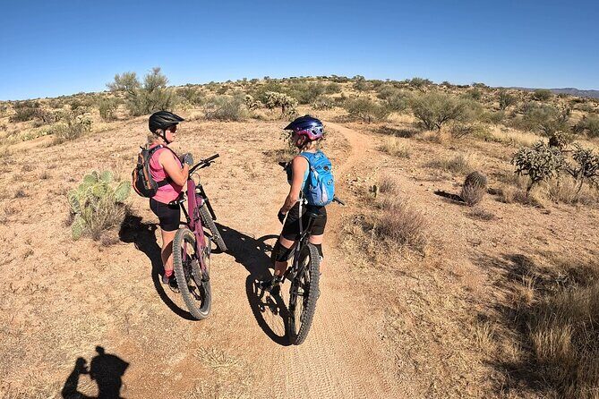 Sonoran Desert Guided Mountain Bike Adventure - Good To Know