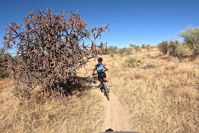 Sonoran Desert Guided Mountain Bike Adventure - An Authentic Look at the Sonoran Desert Guided Mountain Bike Adventure