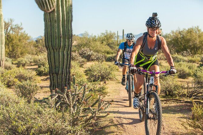 Sonoran Desert Guided Mountain Bike Tour - Good To Know