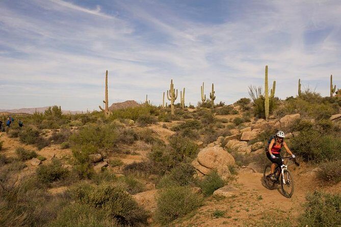 Sonoran Desert Guided Mountain Bike Tour - The Experience in Detail