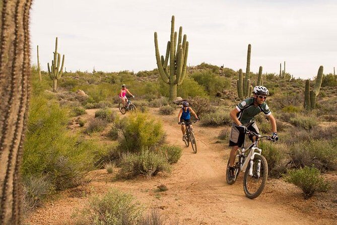Sonoran Desert Guided Mountain Bike Tour - The Sum Up: Who Should Consider This Experience?