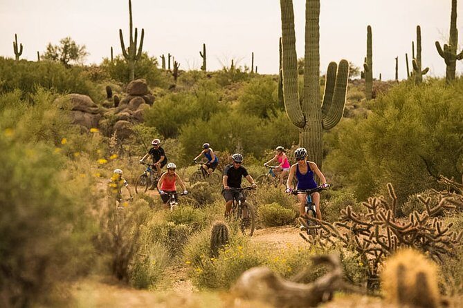 Sonoran Desert Guided Mountain Bike Tour - FAQ